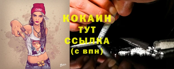 ешки Аркадак
