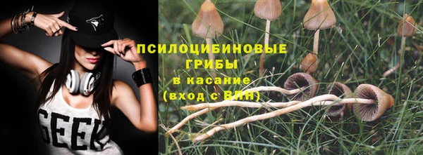 ешки Аркадак