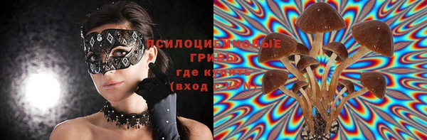 дурь Балахна