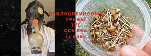 дурь Балахна