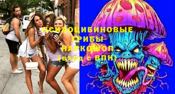 ешки Аркадак