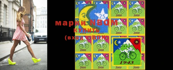 ешки Аркадак