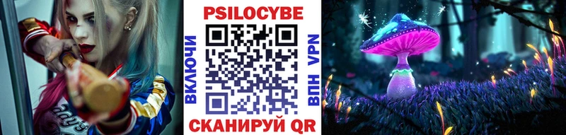 Псилоцибиновые грибы прущие грибы  Подпорожье 